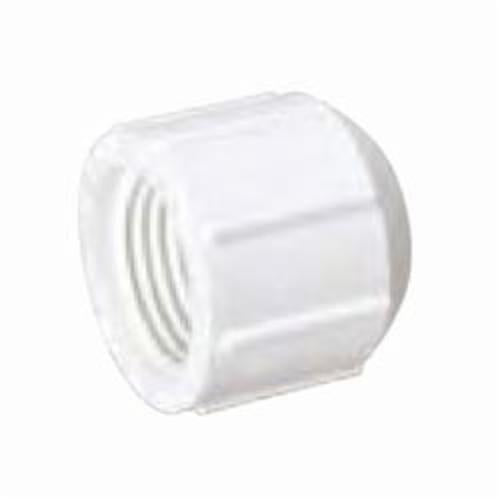 Mueller 448-007 3/4 FPT CAP PVC TH THREADED CAP